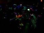 Saturday Night Rave