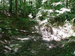 Nature Photographs