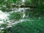 Nature Photographs