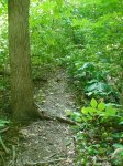 image dsc00100-jpg